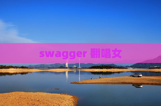 swagger 翻唱女